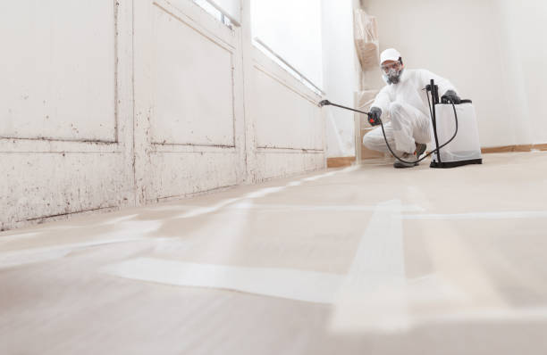 24/7 Emergency Commercial Mold Remediation experts in Rockwood, VA